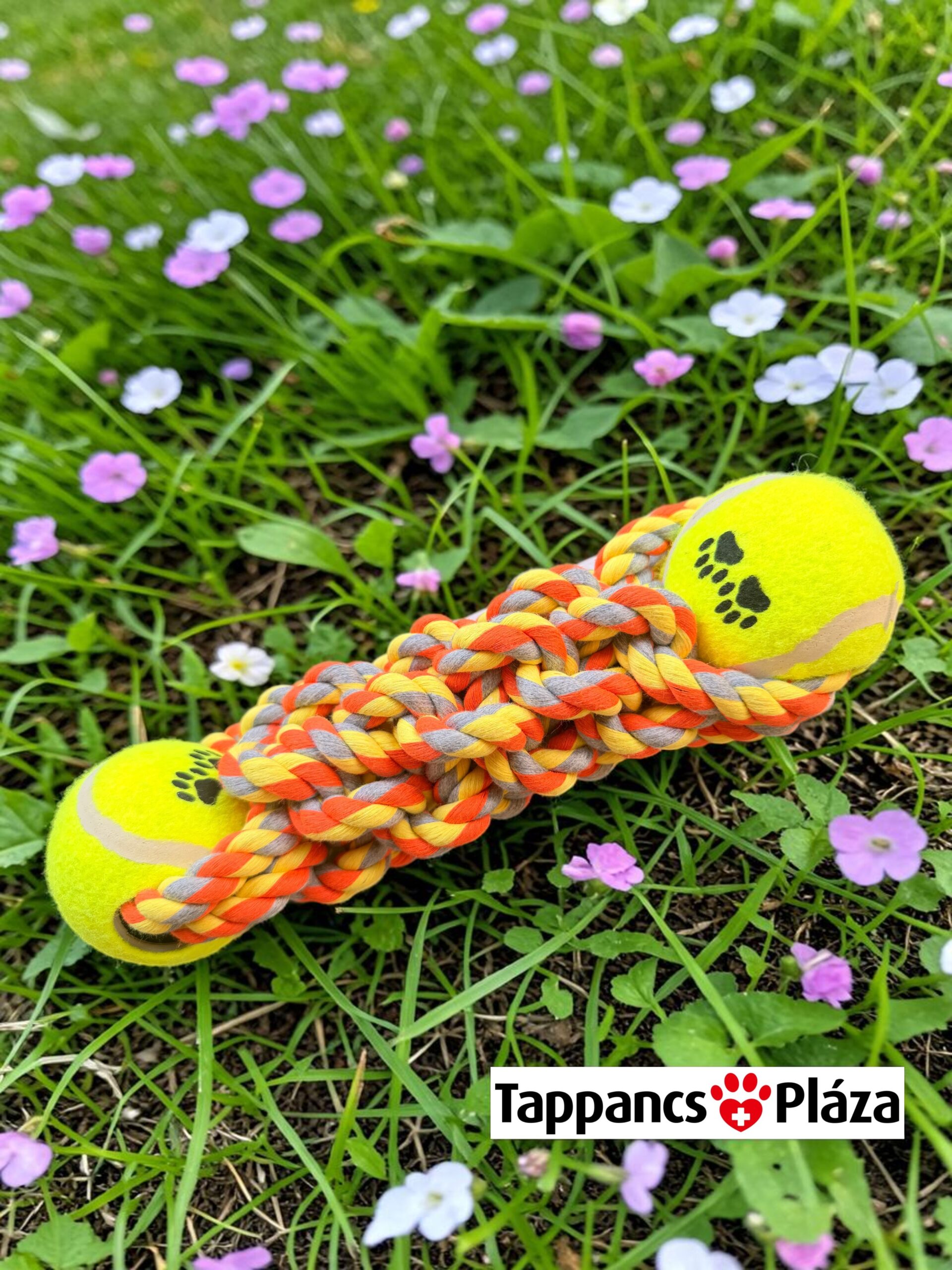 Teniszlabdás kutyajáték – interaktív kutyajáték