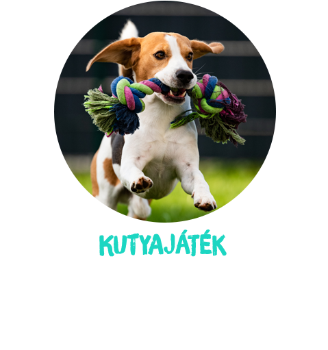 kutyajátékok