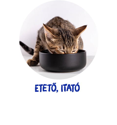 kutya etető itató
