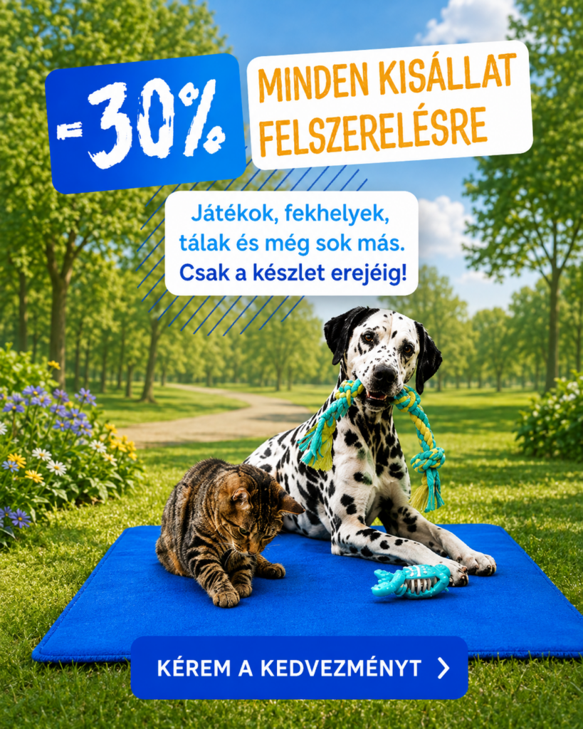 Kiszállási és séta felszerelések akciója kutyáknak mobil nézet