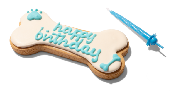 DoggyeBag Dog B-Day Bone torta gyertyával